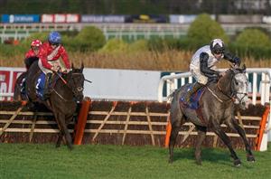 2024 Stayers' Hurdle Odds - Irish Point and Teahupoo vying for favouritism