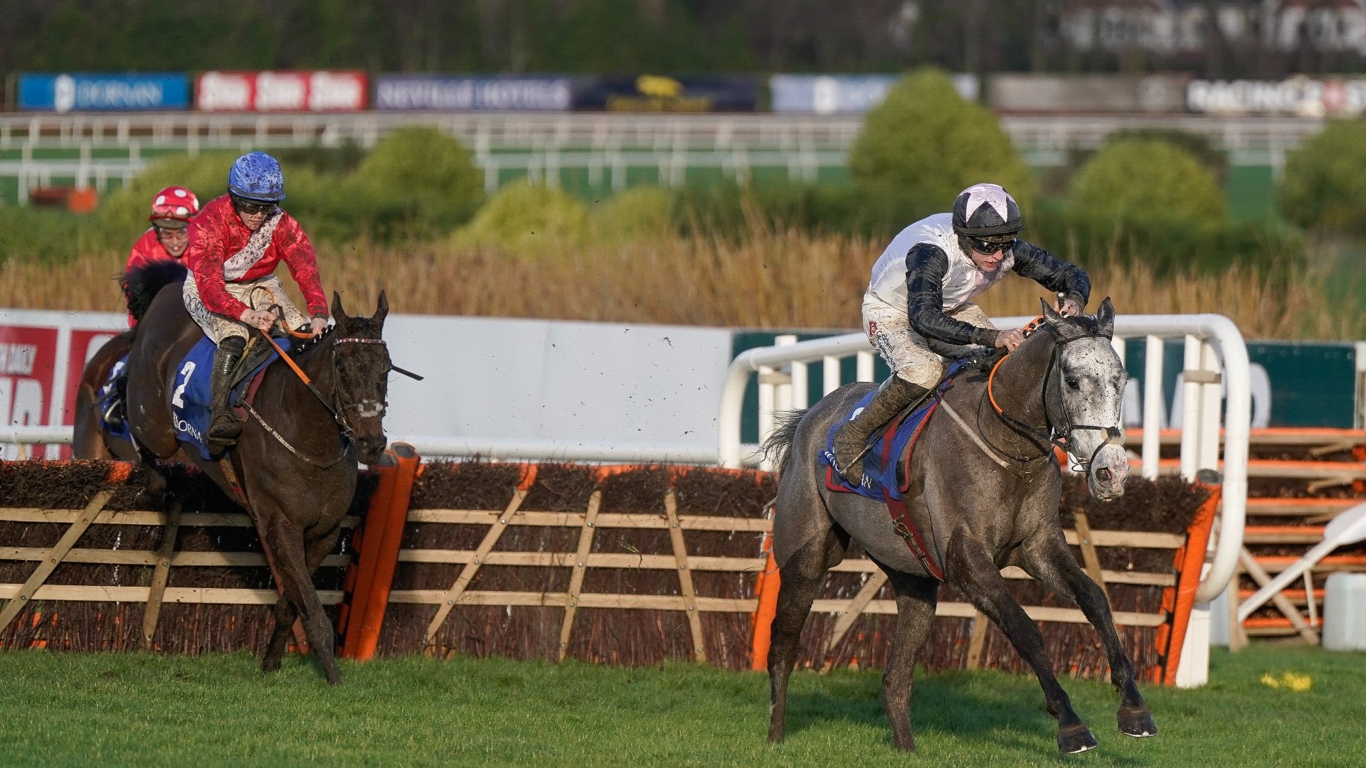 2024 Stayers' Hurdle Odds Irish Point and Teahupoo vying for favouritism