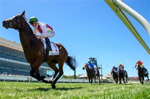 Saturday Blackbookers & Horses To Follow from February 3