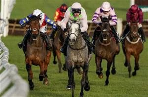 2024 Mares' Hurdle Odds - Lossiemouth dominates Cheltenham market