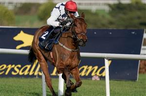 2024 Supreme Novices' Hurdle Odds - Ballyburn heads Mystical Power and Jeriko Du Reponet in betting