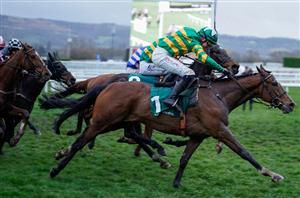 2024 Champion Bumper Odds - Jalon D'Oudairies heads Maughreen in bumper betting