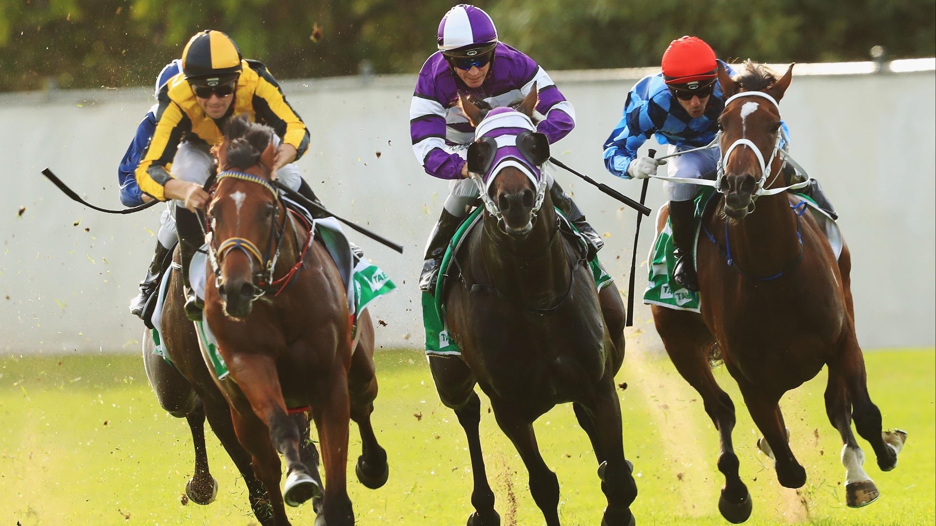 Canterbury Betting Tips for February 9, 2024 Pedro ready to peak