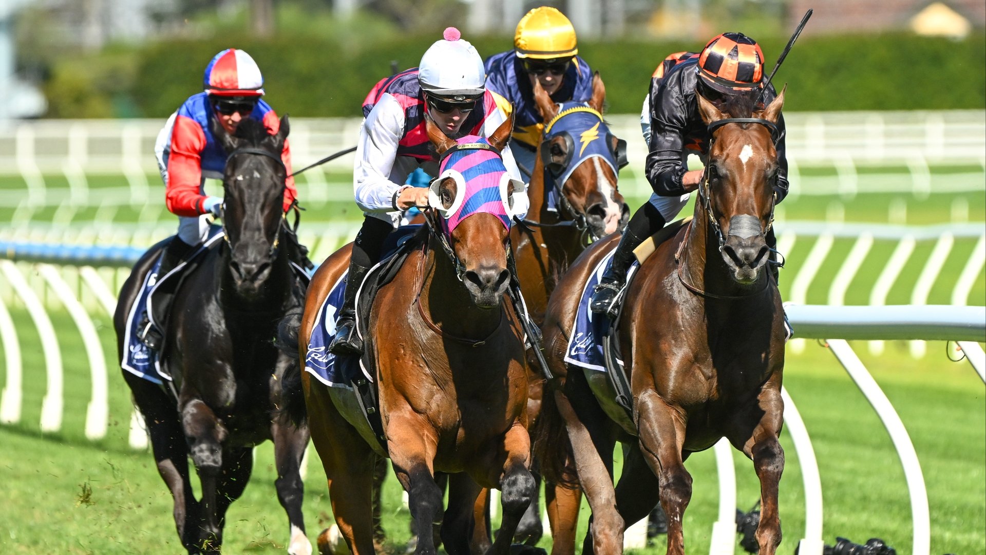 Caulfield Tips - Best & Value Bets for CF Orr Stakes Day on February 10