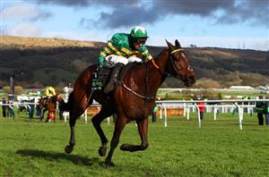 2024 Mares' Chase Odds - Dinoblue the firm favourite at Cheltenham