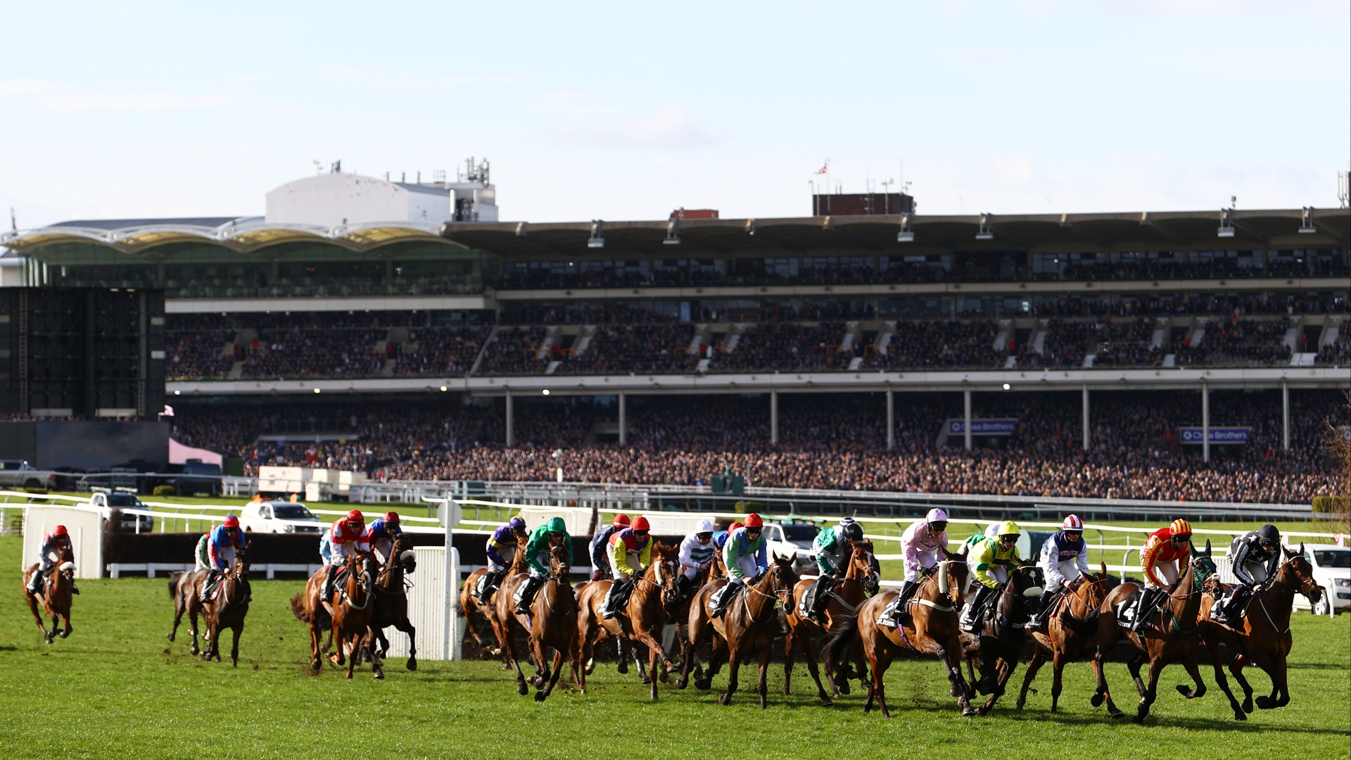 Cheltenham Festival 2025 Dates Bel Amelita