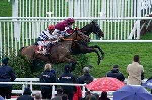 2024 Cross Country Chase Odds - Delta Work, Galvin and Minella Indo to clash at Cheltenham