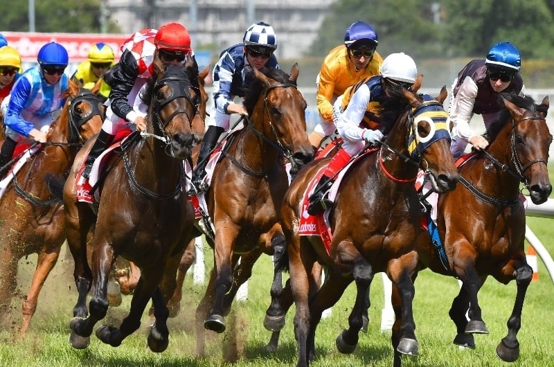 Belmont Betting Tips for February 14, 2024 Vampi is well placed