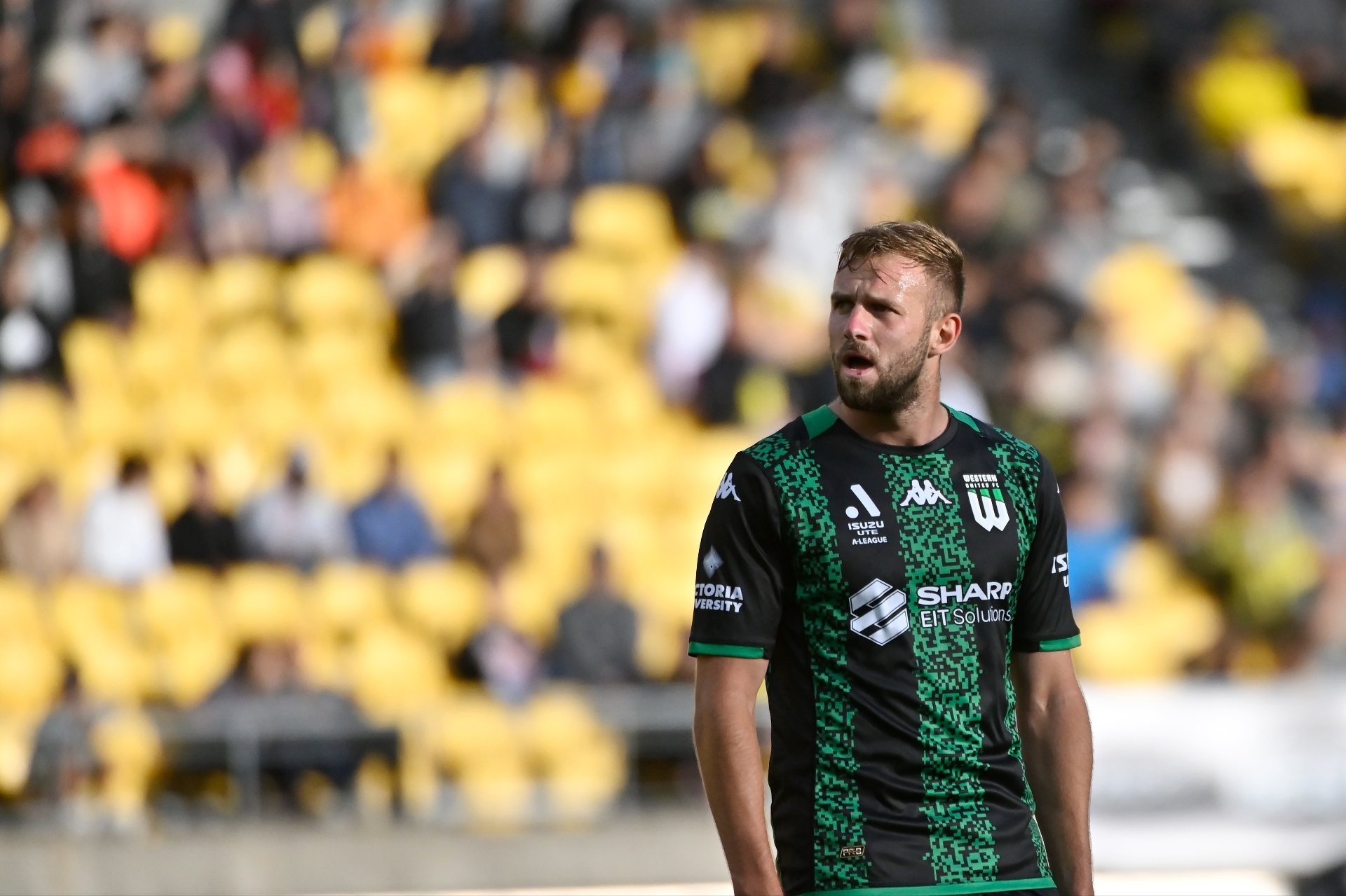 Western United Vs Newcastle Jets 2025 Dates Jesse Lucilia