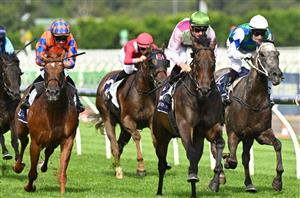 Flemington Tips - Best & Value Bets for Black Caviar Lightning Day on February 17