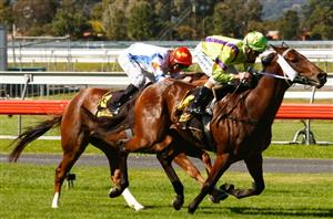 Morphettville Betting Tips for February 17, 2024 - Thirsty can salute first-up