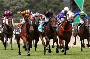Pinjarra Betting Tips for February 17, 2024 - Prince to rule in Trophy