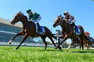 Blue Diamond Stakes 2024 Barrier Draw & Final Field