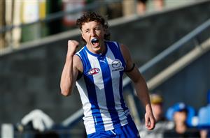 North Melbourne Kangaroos AFL 2024 Predictions, Projections and Player Movement