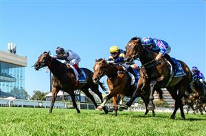 Futurity Stakes Tips - Look on the Brightside in Caulfield Group 1