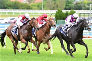 Oakleigh Plate Tips