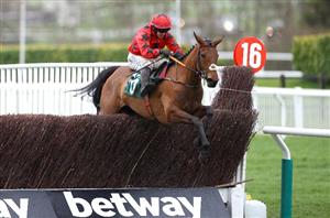 2024 Grand Annual Handicap Chase Odds - My Mate Mozzie and Saint Roi prominent in Cheltenham market
