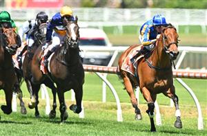 Oakleigh Plate Tips - Who will win the Caulfield Group 1?
