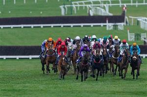 2024 Pertemps Final Odds - Gaoth Chuil leads Cleatus Poolaw in Cheltenham market