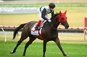 Get $3 for Mr Brightside to win by 1+ Lengths