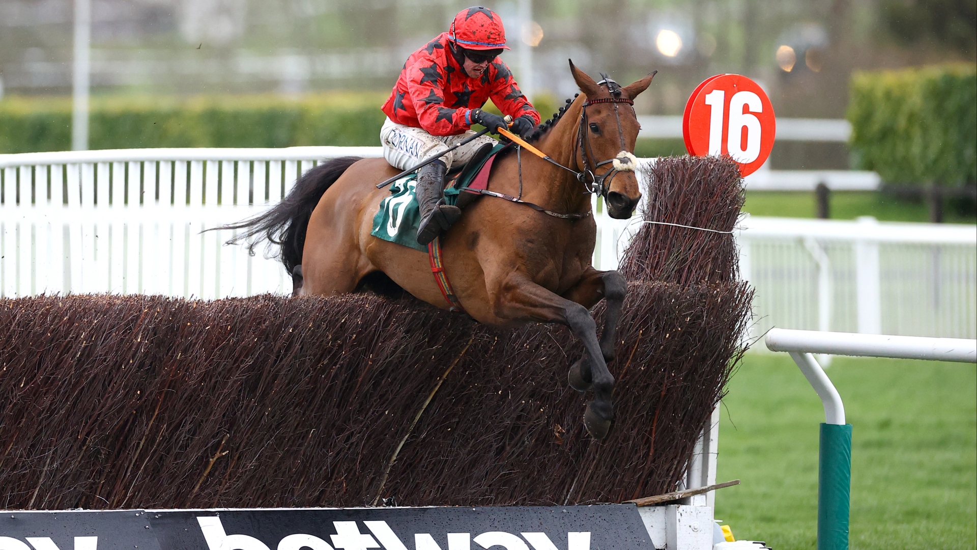 Grand Annual Cheltenham Oddschecker 2025 Dasie Emmalyn