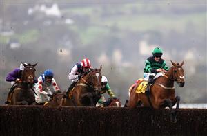 2024 Plate Handicap Chase Odds - Crebilly backed into favouritism