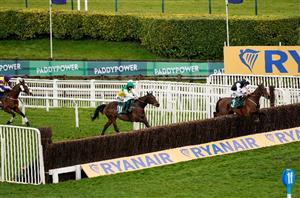 Cheltenham Festival 2024 Tips - 14/1 shot has a rite chance in the Kim Muir