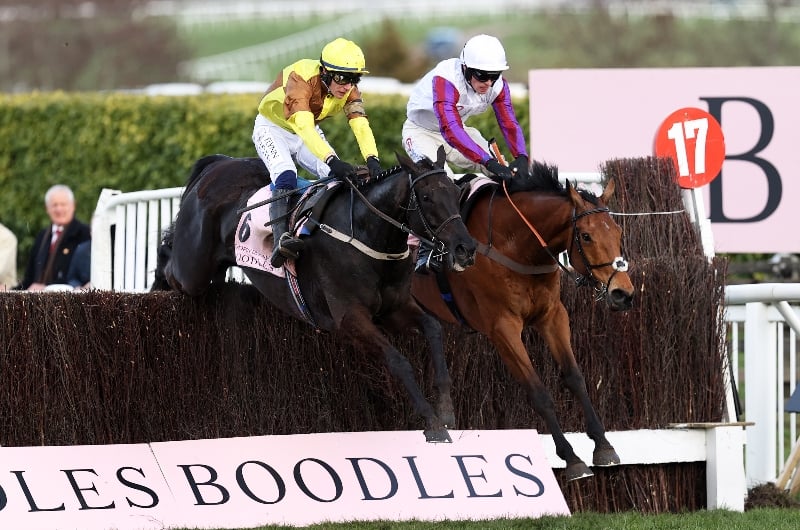 Cheltenham Gold Cup 2025 Odds William Harris