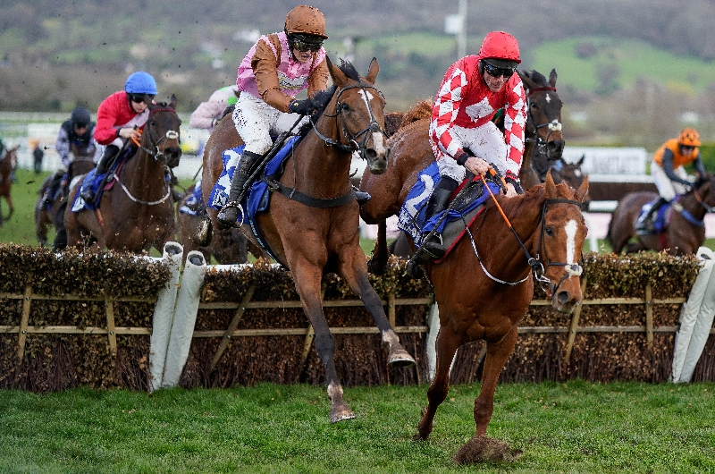 county hurdle