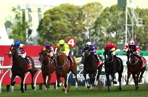 Surround Stakes Tips - Makarena to dance to victory at Randwick