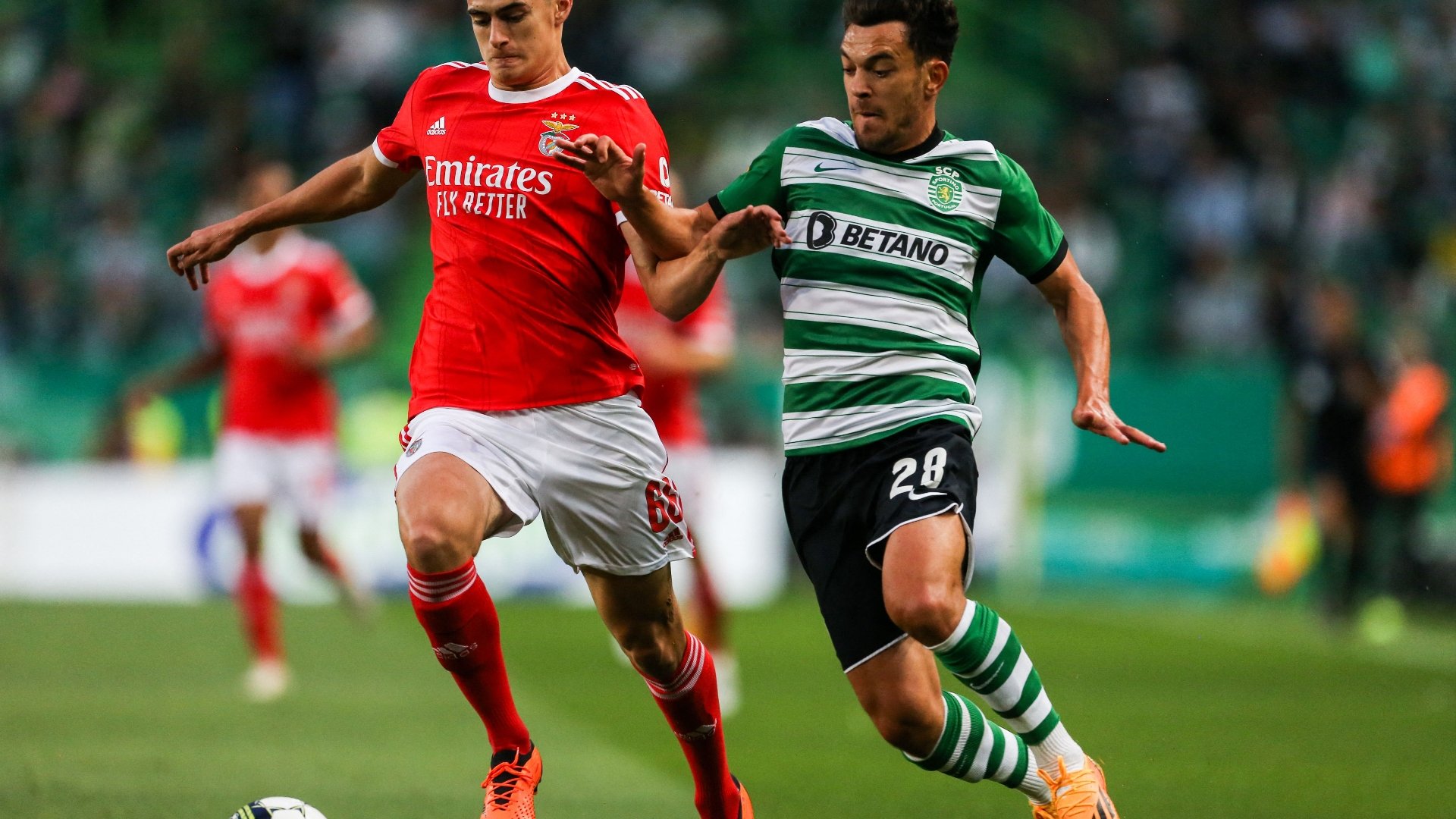 Sporting CP vs Benfica Live Stream & Tips Close Clash in the