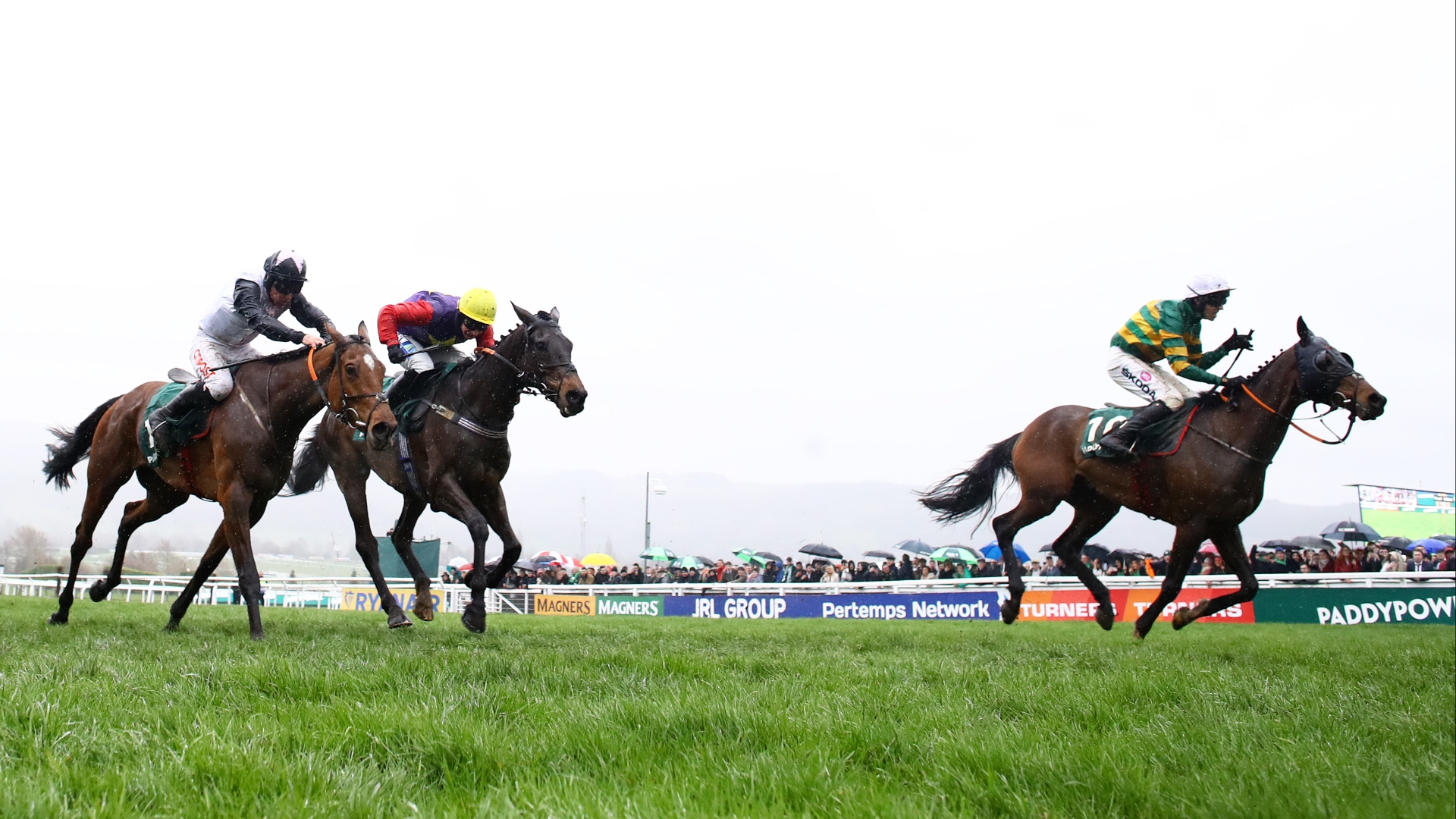 2024 Stayers' Hurdle Tips Top tips for the feature on St Patrick's Day