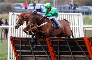 2024 Morebattle Hurdle Tips - Two each-way selections at Kelso