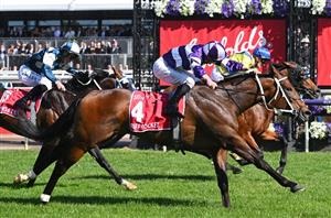 Australian Guineas: Get $5 for Riff Rocket to win by 1+ Length