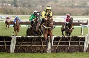 2024 Triumph Hurdle Tips - 20/1 each-way selection against Sir Gino