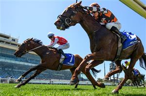 Australian Guineas Tips - Runner-by-Runner Guide for the Flemington Group 1
