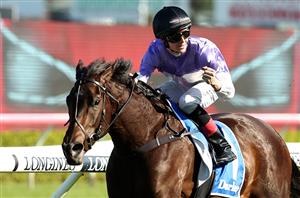 Surround Stakes Tips - Who will win the Randwick fillies' Group 1?