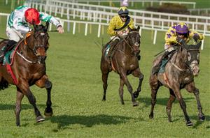 2024 Arkle Challenge Trophy Tips - Two to keep on-side in an open Arkle