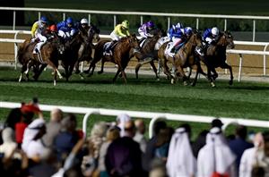Meydan Tips on March 1st - Super Saturday 2025 Selections