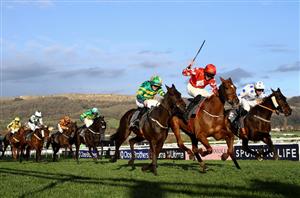 boodles handicap cheltenham