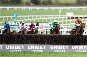 arkle cheltenham