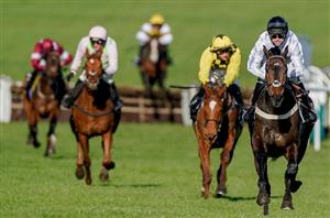2024 Champion Hurdle Live Stream - Watch the Cheltenham race online
