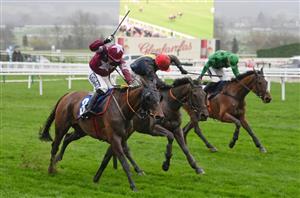 2024 Coral Cup Tips - Trends and potential tips for this open handicap hurdle