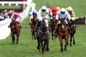 2024 Mares' Hurdle Live Stream - Watch the Cheltenham race online
