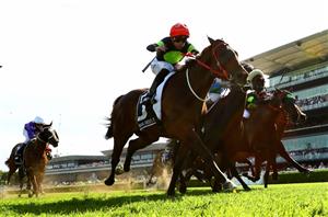 Canterbury Stakes Tips