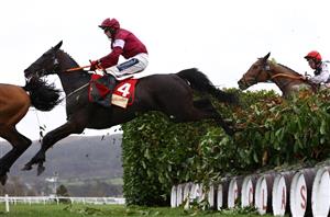 2024 Cross Country Chase Live Stream - Watch the Cheltenham race online