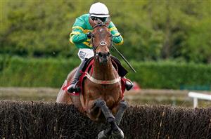 2024 Mares' Chase Tips - Is Dinoblue a good thing in this Grade Two?
