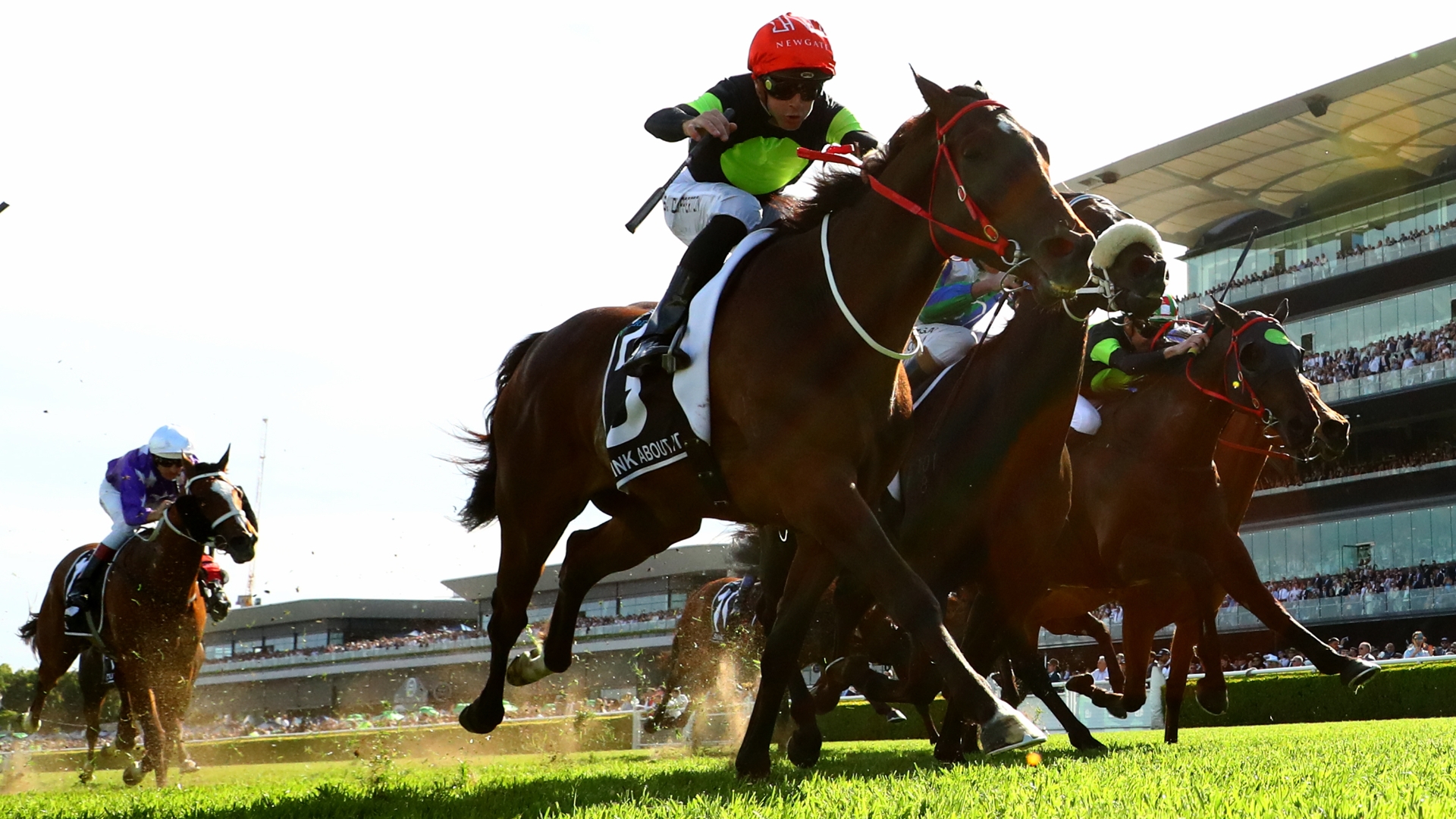 Canterbury Stakes 2024 Betting Tips Pride's star to pounce fresh