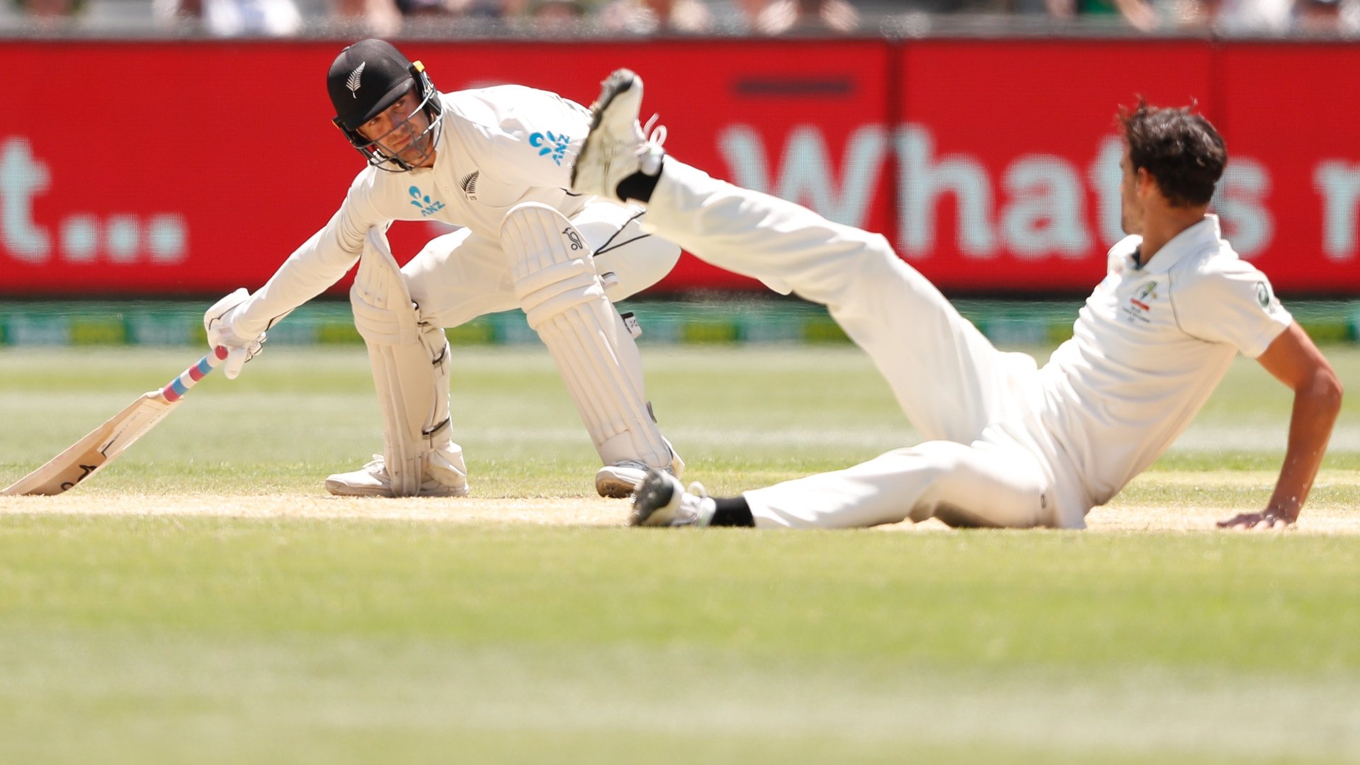 Cricket Test 2025 Dyann Grissel