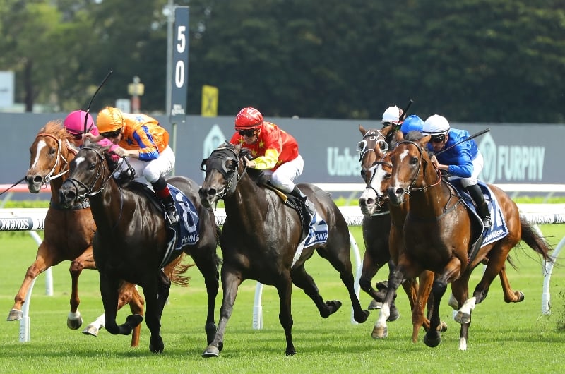 Randwick Betting Tips for March 9, 2024 RaceByRace preview for